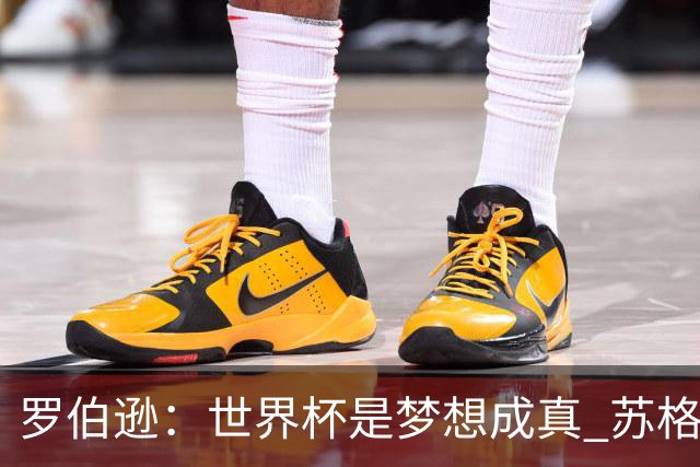 罗伯逊：世界杯是梦想成真 苏格兰已从上届欧洲杯吸取教训